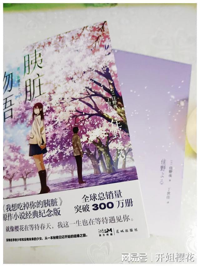 齐心协力共“禁塑” 美丽海南绿长驻